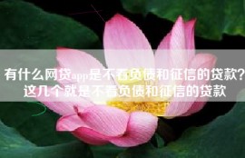 有什么网贷app是不看负债和征信的贷款？这几个就是不看负债和征信的贷款