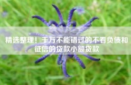 精选整理！千万不能错过的不看负债和征信的贷款小额贷款