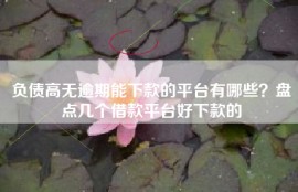 负债高无逾期能下款的平台有哪些？盘点几个借款平台好下款的