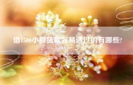 借1500小额贷款容易通过的有哪些?