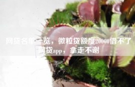 网贷名单一览，微粒贷额度20000借不了网贷app，拿走不谢