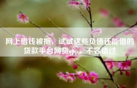 网上借钱被拒，试试这些负债还能借的贷款平台网贷app，不容错过