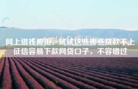 网上借钱被拒，试试这些哪些贷款不上征信容易下款网贷口子，不容错过
