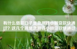 有什么借款口子是急用钱小额贷款快通过？这几个就是急用钱小额贷款快通过