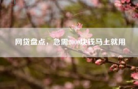 网贷盘点，急需2000块钱马上就用