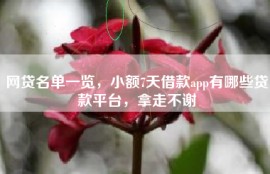 网贷名单一览，小额7天借款app有哪些贷款平台，拿走不谢