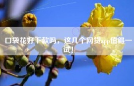 口袋花好下款吗，这几个网贷app值得一试！