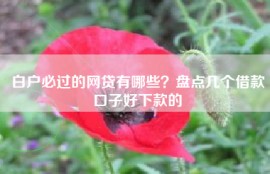 白户必过的网贷有哪些？盘点几个借款口子好下款的