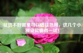 征信不好哪里可以借钱急用，这几个小额贷款值得一试！