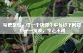 精选整理，借一千块哪个平台秒下网贷口子一览表，拿走不谢