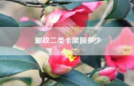 邮政二类卡限额多少