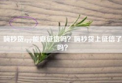 嗨秒贷app能查征信吗？嗨秒贷上征信了吗？