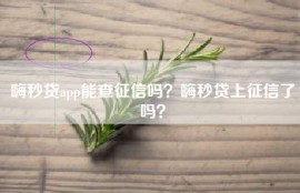 嗨秒贷app能查征信吗？嗨秒贷上征信了吗？