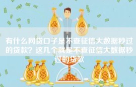 有什么网贷口子是不查征信大数据秒过的贷款？这几个就是不查征信大数据秒过的贷款