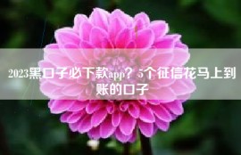 2023黑口子必下款app？5个征信花马上到账的口子
