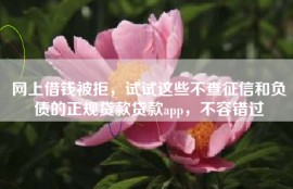 网上借钱被拒，试试这些不查征信和负债的正规贷款贷款app，不容错过