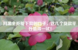 网黑全拒能下款的口子，这几个贷款平台值得一试！