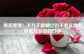 精选整理！千万不能错过的不看征信的秒批贷款借款口子