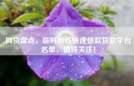 网贷盘点，临时用钱快速借款贷款平台名单，值得关注！
