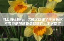 网上借钱被拒，试试这些哪个平台贷款不看征信放款快借款软件，不容错过