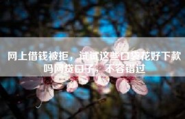 网上借钱被拒，试试这些口袋花好下款吗网贷口子，不容错过