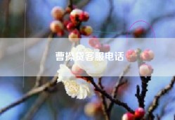 曹操贷客服电话