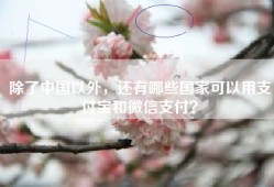 除了中国以外，还有哪些国家可以用支付宝和微信支付？