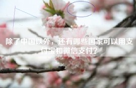 除了中国以外，还有哪些国家可以用支付宝和微信支付？
