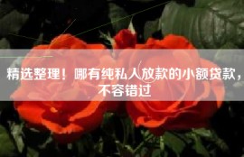 精选整理！哪有纯私人放款的小额贷款，不容错过