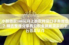 小额借款1000元马上放款网贷口子有哪些？精选整理分享有公积金就能贷款的平台借款软件