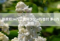 新政后200万二套房少交60万首付 多43万利息