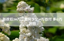 新政后200万二套房少交60万首付 多43万利息