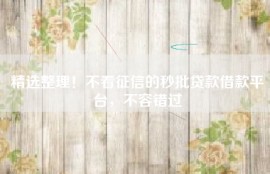 精选整理！不看征信的秒批贷款借款平台，不容错过