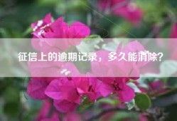 征信上的逾期记录，多久能消除？