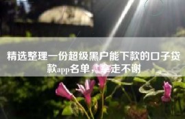 精选整理一份超级黑户能下款的口子贷款app名单，拿走不谢