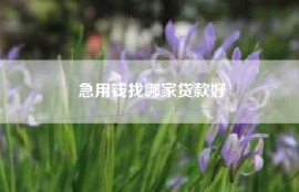 急用钱找哪家贷款好