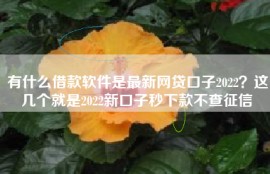 有什么借款软件是最新网贷口子2022？这几个就是2022新口子秒下款不查征信