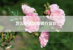 怎么申请网商银行贷款？