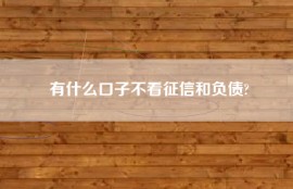 有什么口子不看征信和负债?