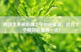 网贷太多被拒哪个平台还能贷，这几个小额贷款值得一试！