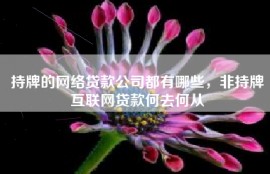 持牌的网络贷款公司都有哪些，非持牌互联网贷款何去何从
