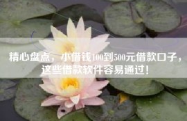 精心盘点，小借钱100到500元借款口子，这些借款软件容易通过！