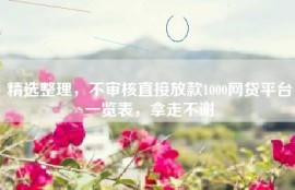 精选整理，不审核直接放款1000网贷平台一览表，拿走不谢