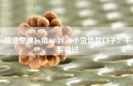 精选整理！借300到500小贷借款口子，不容错过