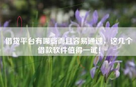 借贷平台有哪些而且容易通过，这几个借款软件值得一试！