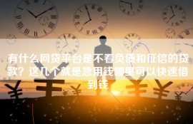有什么网贷平台是不看负债和征信的贷款？这几个就是急用钱哪里可以快速借到钱