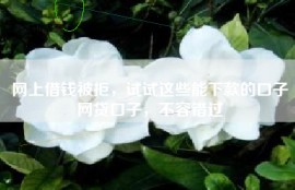 网上借钱被拒，试试这些能下款的口子网贷口子，不容错过