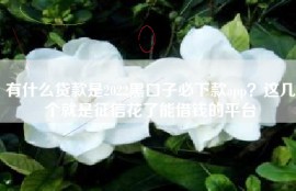 有什么贷款是2022黑口子必下款app？这几个就是征信花了能借钱的平台
