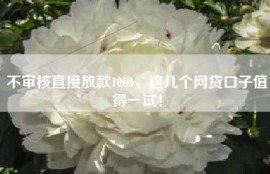 不审核直接放款1000，这几个网贷口子值得一试！