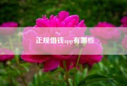 正规借钱app有哪些